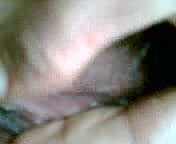 Indonesian shine up to be hung up on